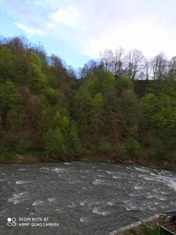 Panorama Appartement Kvasy Buitenkant foto